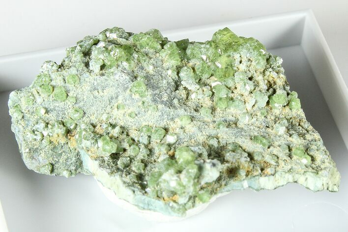 Sparkling Demantoid Garnet Cluster in Matrix - California #379782